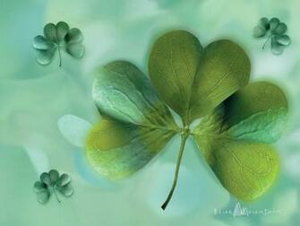 Shamrock Desktop Wallpaper Spring The Best Top