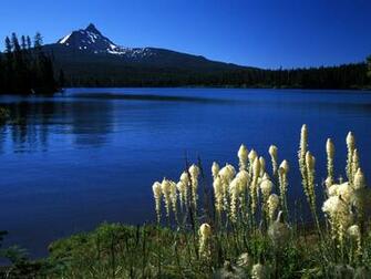 Landscapes Mount Washington Big Lake Oregon High Quality