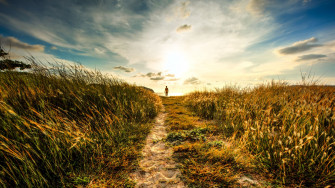 Nature Wallpaper