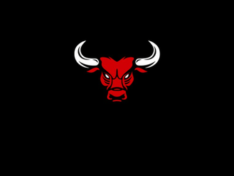 Chicago Bulls Logo Basketball Team