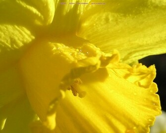Background Wallpaper Fridge Magnet Created By