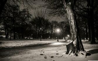 New York City Central Park Footsteps 4k HD Desktop Wallpaper