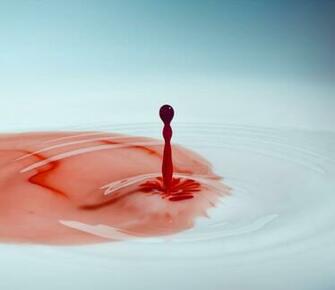 Search Of Wisdom Ruminations The Sage To Last Drop Blood
