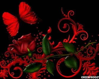 Red Rose With Butterfly Hq Wallpaper