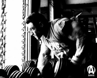 Animal Pak Wallpaper Bodybuilding Forums