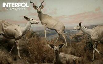 Interpol Wallpaper