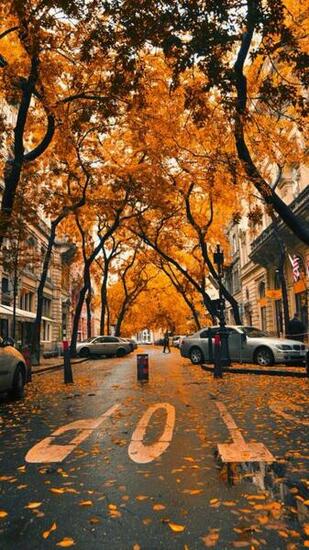 Fall iPhone Wallpaper HD Desktop Instagram