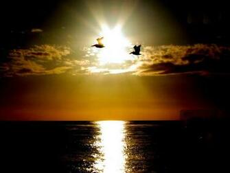 Sun Wallpaper HD Quality