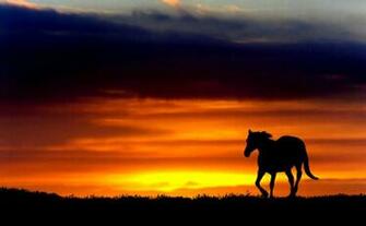 Horses In The Sunset Wallpaper Gallery