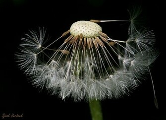 Spring Desktop Wallpaper Amazing Collection High Definition