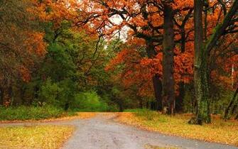 Crossroads In Life Wallpaper Mobile Screensavers