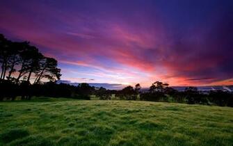 Beautiful Morning Wallpaper HD