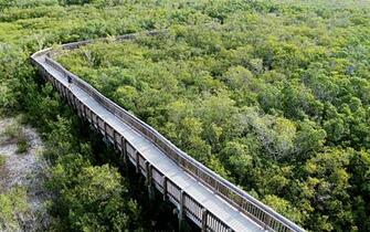 Rave Run Weedon Island Florida Runner S World