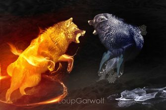 Wolves Fight V1 By Loupgarwolf