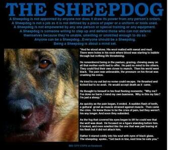 Sheep Dog Quotes