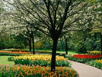 Spring Wallpaper Desktop Background