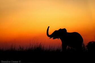 Sunset HD Wallpaper For Your Desktop Background Or