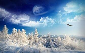 Winter Forest Desktop Wallpaper Full HD