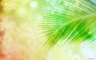 Wallpaper Nature Cg Seasons Spring Summer