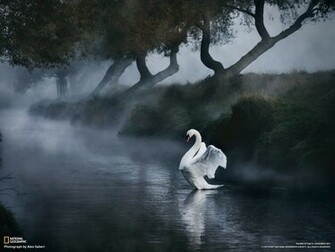 Photography Desktop Wallpaper National Geographic Magazine
