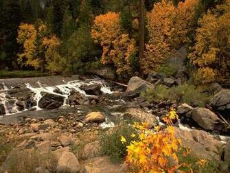 Thanksgiving And Autumn Desktop Wallpaper