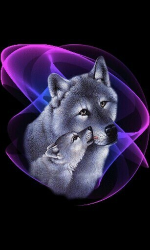 Baby Wolves Wallpaper Screenshots Mom Wolf Live
