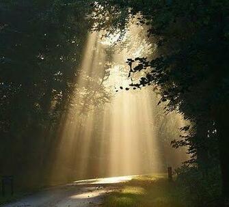 The Quiet Place Everyone Needs A
