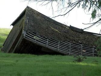 Chicken Coop