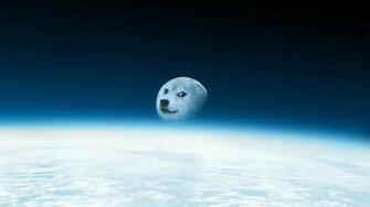 Doge Is Moon Wallpaper