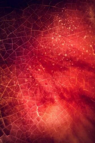 Red Leaf Veins Cracked Grunge Texture With Image