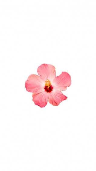 B693359b9726f7a8e15aae31e1ab8580 Wallpaper