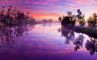 Purple Wallpaper iPhone HD Cool Walldiskpaper