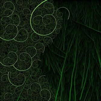 Bamboo Wallpaper HD Topwallpaper