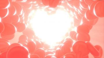 Heart Red Blood Cells Erythrocyte Photo