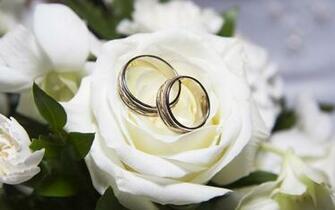 Wedding Ring Wallpaper HD
