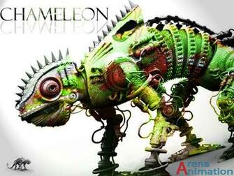 Panther Chameleon By King