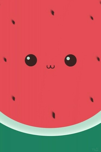 Fun Funny Unique Wallpaper Watermelon Cute