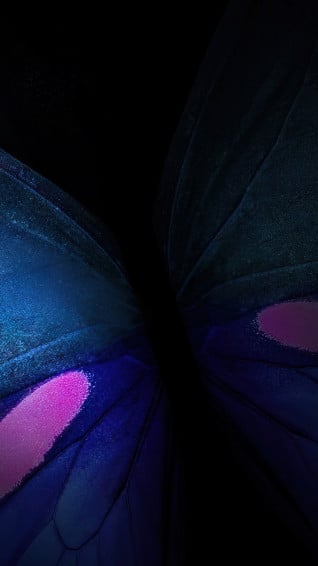 Butterfly Abstract Background Samsung 4k Wallpaper iPhone HD Phone