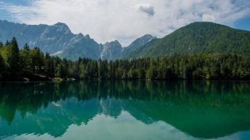Wallpaper Lake Forest Mountains Landscape