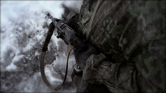 Waffen Ss Wallpaper Png Transparent