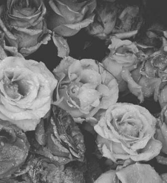 And All I Loved Alone
