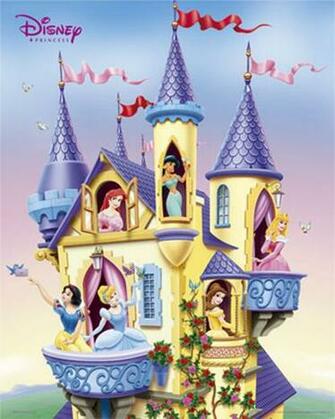 Disney Princess Image Princesses In Castle Wallpaper Photos