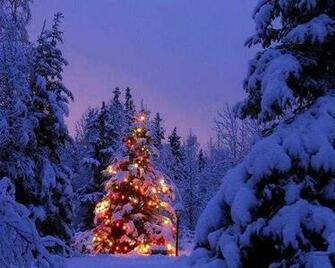 Best Christmas Tree Desktop Dual Screen Monitor Wallpaper Quoteko