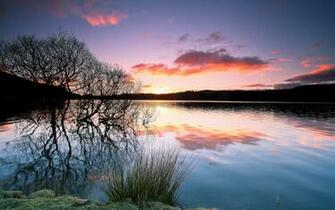 Forest Lake Reflection HD Wallpaper