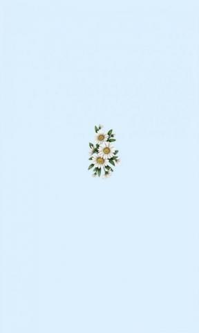 Simple Wallpaper Beautiful Background