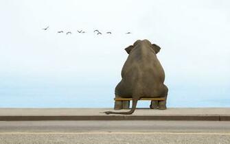 Elephants Wallpaper Image Pictures Becuo
