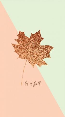 Cute Fall Wallpaper Cheapest Shops Off Aarav Co