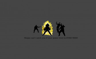 Funny Meme Wallpaper
