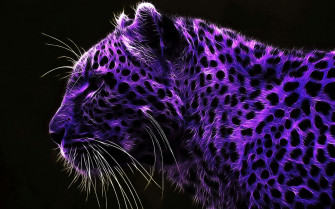 Purple Cool Wallpaper