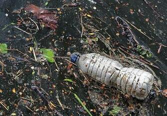 HD Wallpaper Clear Plastic Bottled Water Waste Pollution